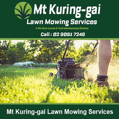 Push lawn mower cutting grass in Mt Kuring-gai