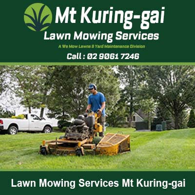 Worker operating mower on large lawn in Mt Kuring-gai